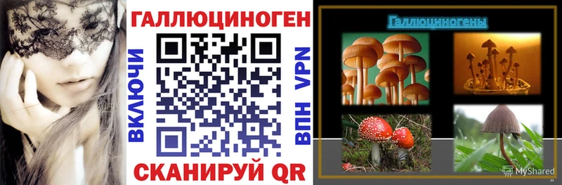Псилоцибиновые грибы прущие грибы  цена   Бугульма 